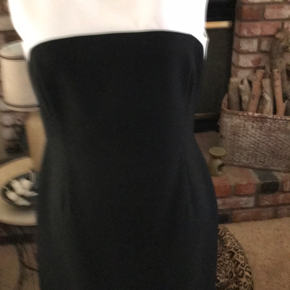 Zara Basic White & Black Bodycon Dress - Picture 3 of 5